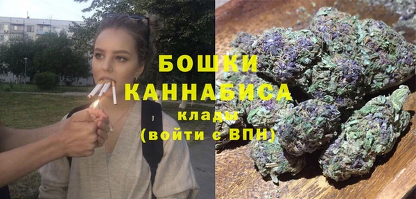 твердый Няндома