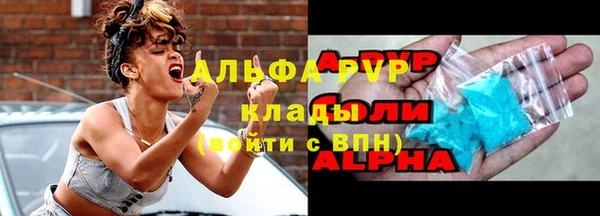 твердый Няндома
