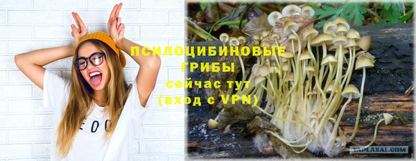 МДПВ Новодвинск