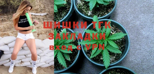 твердый Няндома