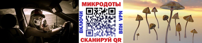Галлюциногенные грибы мухоморы  OMG зеркало  Ртищево  закладки 
