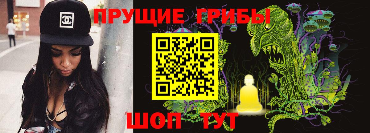 Галлюциногенные грибы MAGIC MUSHROOMS  Вход с VPN  Ртищево  Галлюциногенные грибы мицелий 